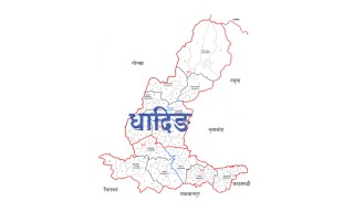 पानी अभावका कारण मलेखुको ३ हजार हेक्टर खेतको धानमा बाला नै लागेन