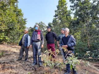 कटहरे – मोहनी धारापानी खण्डको मोटरमार्गको ट्रयाक निवर्तमान सासंद सिग्देलद्धारा अनुगमन