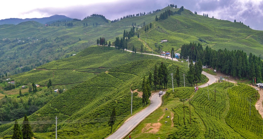 तेह्रथुममा डाडाँपाखाहरूलाई सजिसजाउ गरेर आन्तरिक तथा बाह्य पर्यटक आर्कषित गर्ने प्रतिस्पर्धा 
