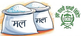 धान रोप्ने समयमा मल पाइन्छ कि पाइदैन ? किसान अलमलमा 