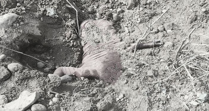 धादिङको सल्यानटारमा डोजरको ठक्करबाट महिलाको मृत्यु