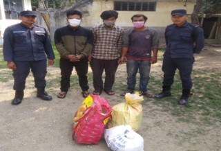 चार किलो अवैध गाजा सहित ३ जना पक्राउ, पक्राउ पर्नेमा इच्छाकामनाका भिमराज गुरुङ पनि