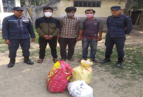 चार किलो अवैध गाजा सहित ३ जना पक्राउ, पक्राउ पर्नेमा इच्छाकामनाका भिमराज गुरुङ पनि
