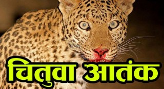 तनहुँको नरभक्षी चितुवा नियन्त्रणमा ल्याउन सकस