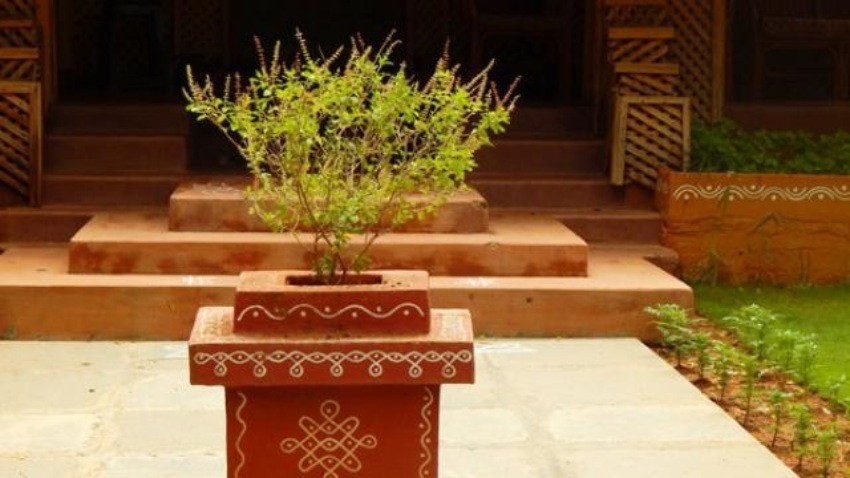 आज निर्जला एकादशीः वैदिक सनातन धर्मावलम्बीले आज घरघरमा तुलसीको दल राखिँदै