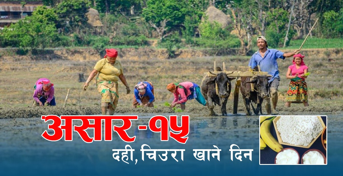 आज असार १५ः दहि चिउरा खाने दिन
