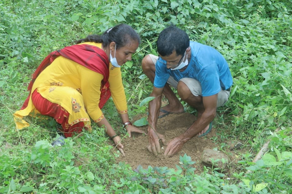 देवघाटको कालिका सामुदायिक वनद्वारा पाँच सय विरुवा बृक्षारोपण