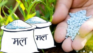 खेतीपातीको सिजनका बेला कर्णालीमा रासायनिक मल अभाव
