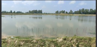 सर्लाहीको मुसौलीयामा रहेको धार्मीक पर्यटकीयस्थल बडकी पोखरीको स्तरोन्नति सुरु