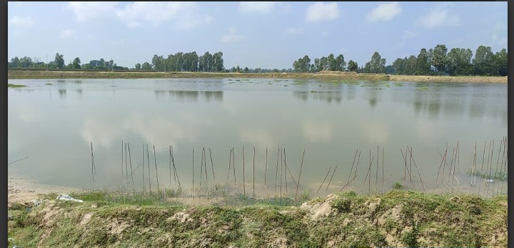 सर्लाहीको मुसौलीयामा रहेको धार्मीक पर्यटकीयस्थल बडकी पोखरीको स्तरोन्नति सुरु