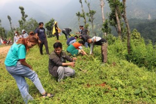 देवघाटको कोटामा ३ सय विरुवा वृक्षारोपण