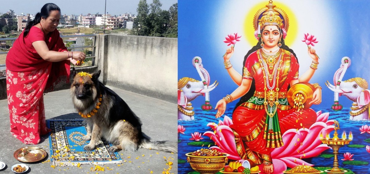 आज यमपञ्चक (तिहार)को दोस्रो दिन, कुकुरको पुजा गरि मनाइँदै