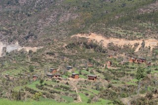 उर्जाशील समय भारतमा, उमेर ढल्किएपछि पछुतो