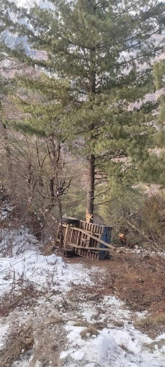 काठ ल्याउँदै गरेको ट्याक्टर दुर्घटना