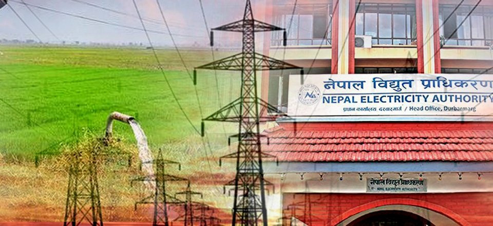 विद्युत प्राधिकरणको नाफा घट्यो, चुहावट बढ्यो 