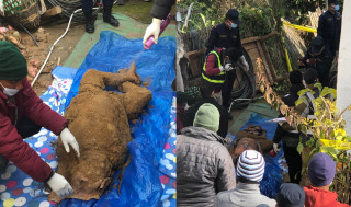 १६ पुसदेखि हराइरहेकी महिलाको शव घरभित्रै फेला