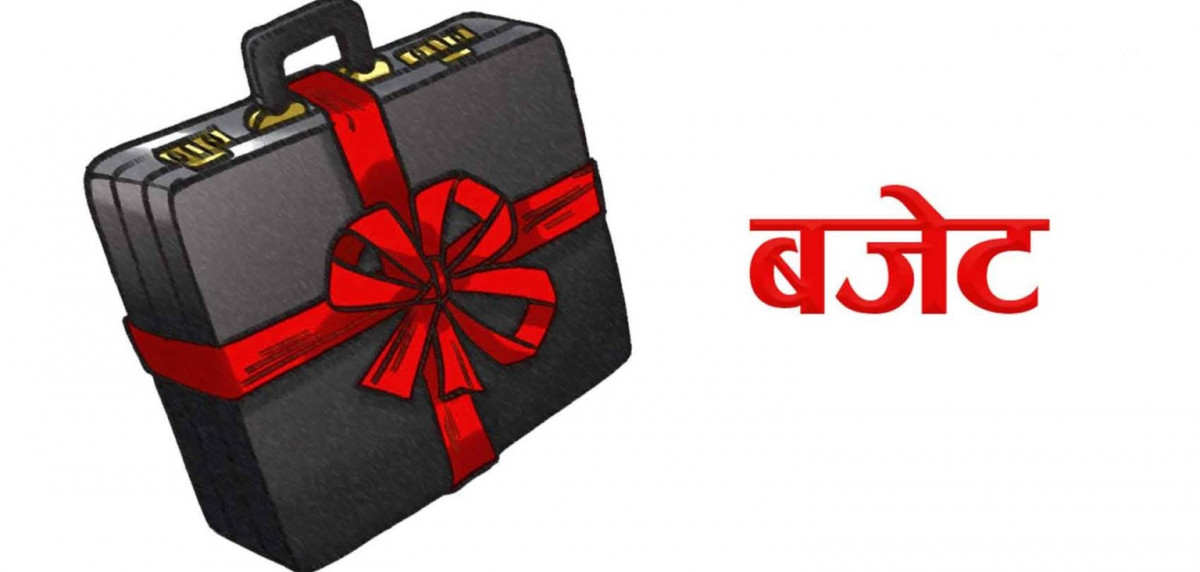 २०४९ सालअघि साझा संस्थाबाट लिएको ऋण मिनाहा गरिने