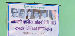 ‘घर घरमा जाऔं, काँग्रेस जिताऔं’ अभियानका लागि आँबुखैरेनीमा तोकिए प्रतिनिधी (हेर्नुस् सूची)