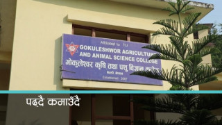 बैतडीमा पढ्दै कमाउँदै कार्यक्रम प्रभावकारी 