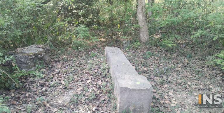 195-number-pillar-768x389.jpg