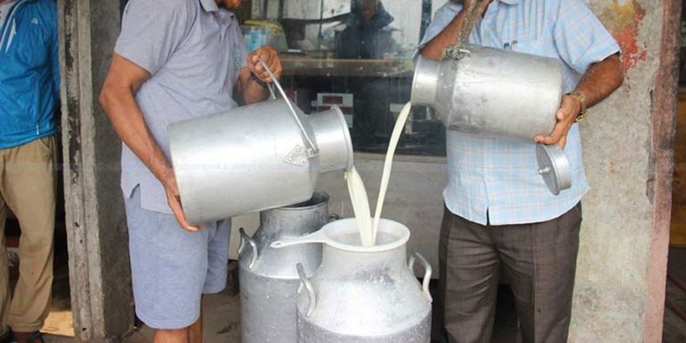 दूधको भुक्तानी नपाएको चितवनका किसानको गुनासो