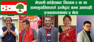नेपाली काँग्रेसबाट चितवन २ 'क' मा समानुपातिकतर्फ उम्मेद्वार बन्न इच्छाकामनाका ५ जनाले दिए आवेदन