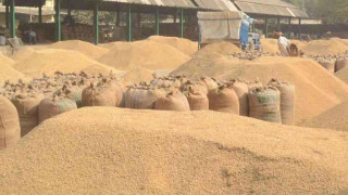 धान भण्डारणमा ध्यान दिन विज्ञको सुझाव 