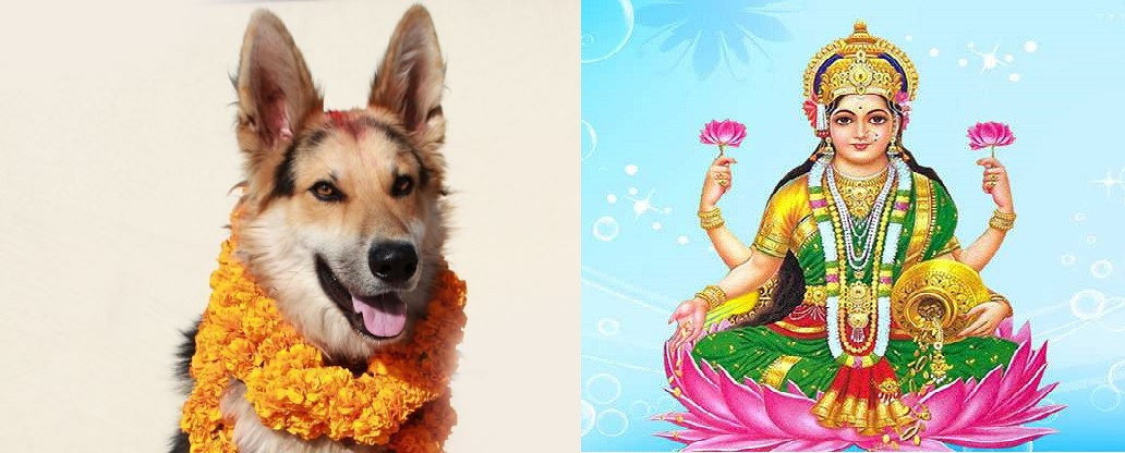 आज लक्ष्मी पूजा : धनधान्यकी देवी लक्ष्मीको विशेष पूजा गरिँदै, कुकुर तिहार पनि आजै