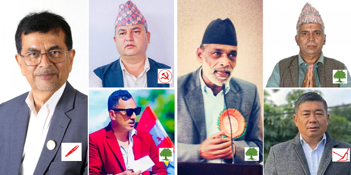 धादिङमा एमाले पराजित हुँदा क–कसले जिते ?