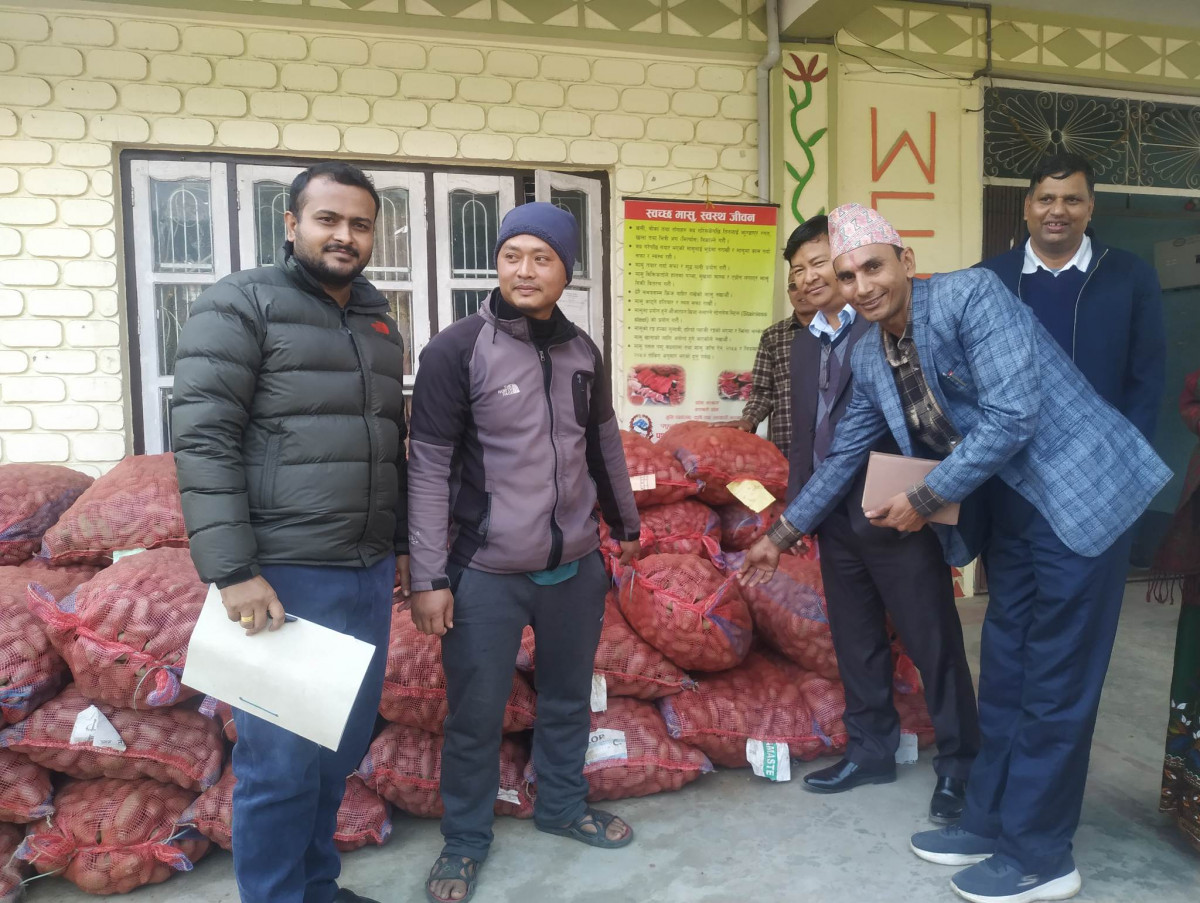 इच्छाकामना गाउँपालिकाको ४ नं. वडा कार्यालयद्वारा किसानहरुलाई आलुको बिउ वितरण