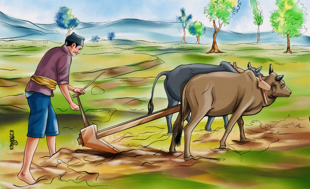 हिउँदे वर्षा नहुँदा किसान चिन्तामा 