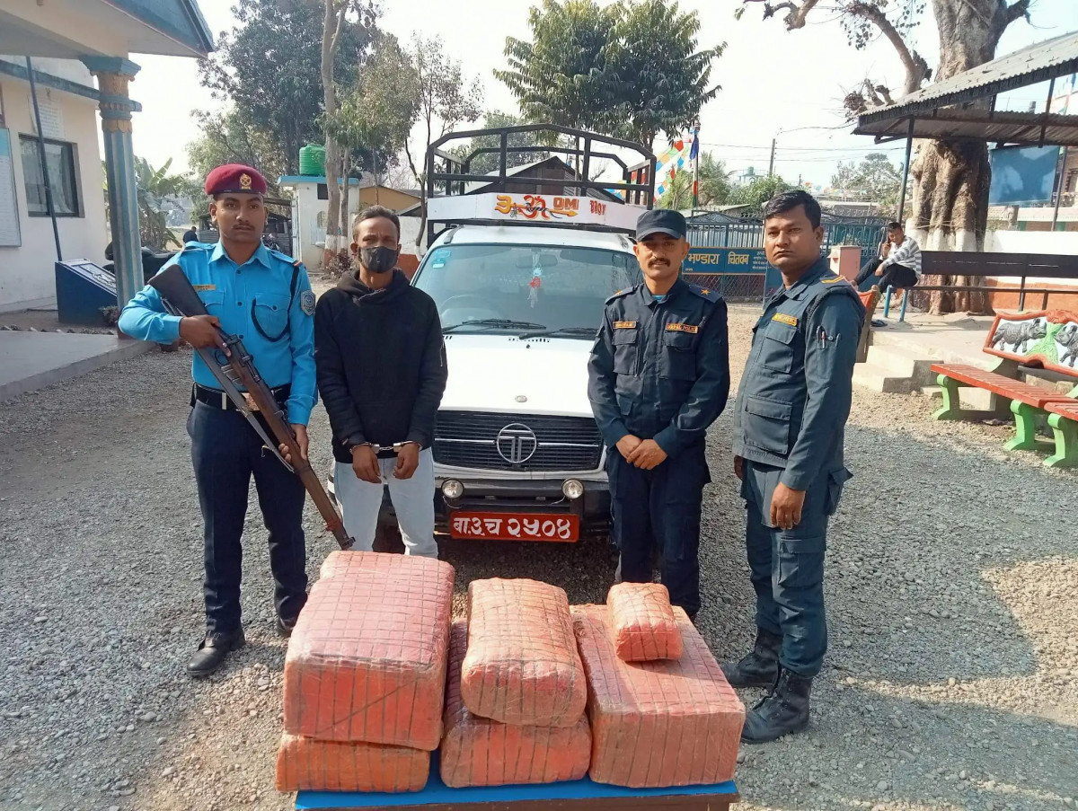 चितवनमा ५३ किलो गाजा ओसारपसार गर्दैगर्दा नाबालक सहित दुई जना पक्राउ