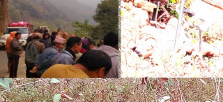 शक्तिखोर–फिस्लिङ सडकखण्डमा रोलर दुर्घटना, चालक टोड्केका नवीन गुरुङको मृत्यु