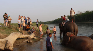 पर्यटकको रोजाइ बन्दै चितवनको पटिहानी
