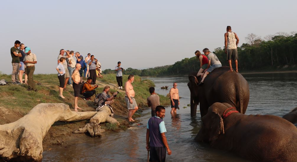 पर्यटकको रोजाइ बन्दै चितवनको पटिहानी