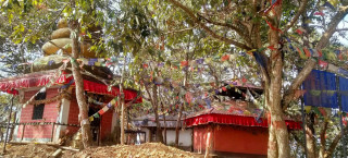इच्छाकामनाको बालगौरी पाथिभरा मन्दिर प्राङ्गणमा भव्य मेला लाग्दै