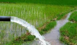 चितवनको ३३ सय बढी बिघामा ट्युबेलमार्फत बाह्रै महिना सिँचाइ
