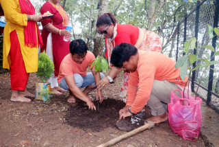 इच्छाकामनाको उपाध्यक्ष माया सिलवालको जन्मदिनमा वृक्षारोपण र पत्रकारलाई डायरी सहित सम्मान
