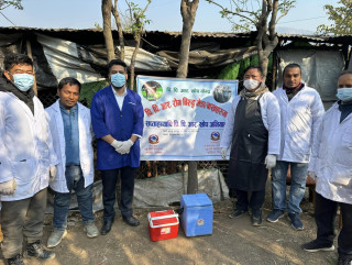 इच्छाकामना गाउँपालिकाका १८ हजार बाख्रालाई पिपिआर रोग विरुद्धको खोप लगाइयो