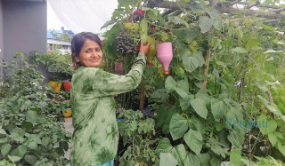 छोराछोरीलाई ‘झोलामा हैन माटोमा तरकारी फल्छ’ भनेर सिकाउन कौसीखेती