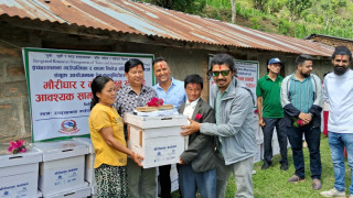रैथाने मौरी जोगाउन चितवनको इच्छाकामनाका किसानलाई आधुनिक घार