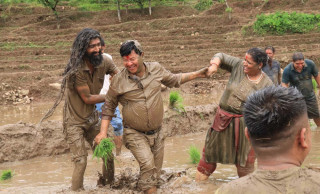 इच्छाकामनाको जनप्रतिनिधि, कर्मचारी र किसानले एकसाथ धान रोपेर गर्दासमा मनायो धान दिवस