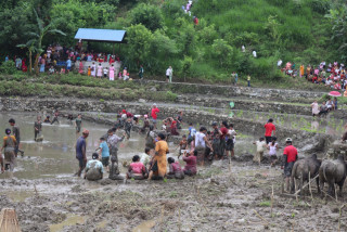 आँबुखैरेनीको ढापटारमा हिले महोत्सव सम्पन्न