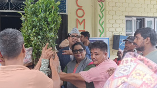 इच्छाकामना गाउँपालिकाद्वारा सुन्ताला किसानलाई ५० प्रतिशत अनुदानमा बेर्ना वितरण