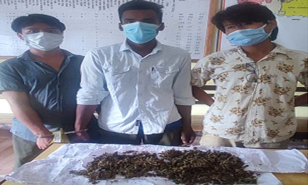 तनहुँको पिपलटारीमा गाजाँ सहित ३ युवा पक्राउ