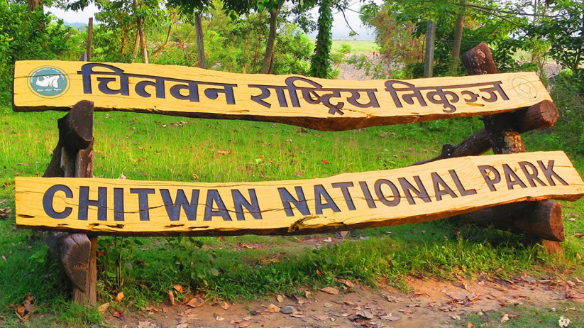 चितवन राष्ट्रिय निकुञ्जमा ७६ जनावर मरे, सबैभन्दा बढी चित्तल