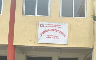 इच्छाकामनामा डेङ्गु संक्रमण बढ्दै, ८१ जनामा देखियो, आज मात्रै ७ जनामा संक्रमण