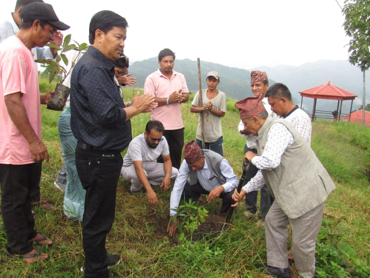 इच्छाकामनाको ऐतिहासिक पर्यटकीय स्थल उपरदाङगढिमा १५० बोट लालिगुरास रोपियो