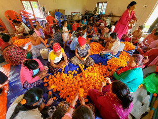 फूल खेतीबाट मनग्य आम्दानी गर्दै आँबुखैरेनी याञ्चोकका महिलाहरु