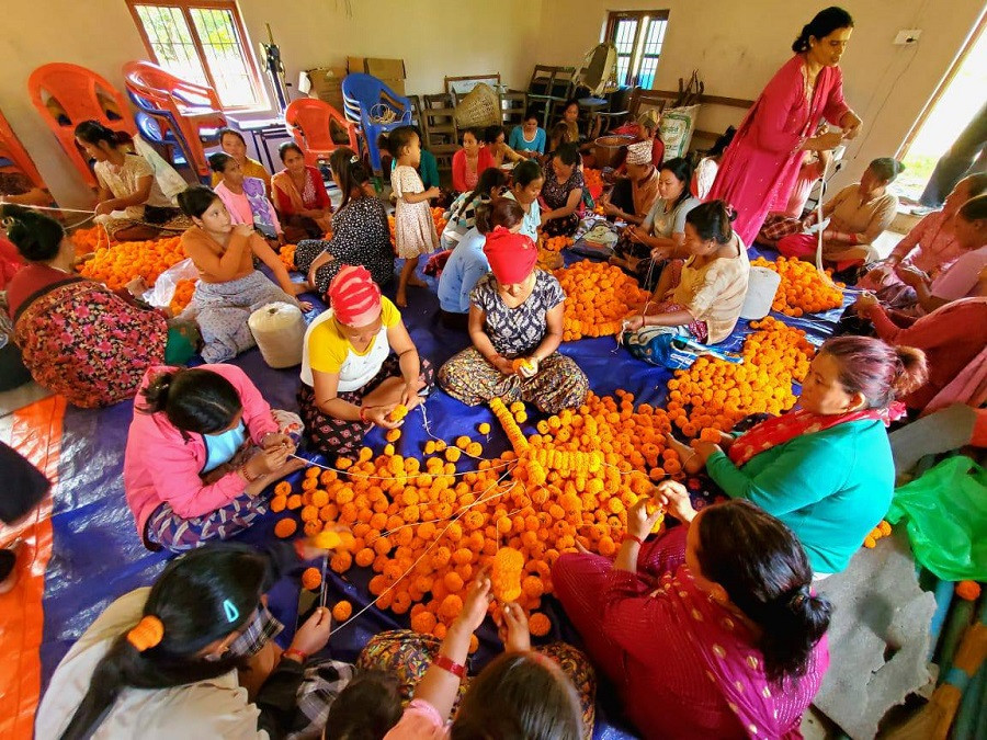 फूल खेतीबाट मनग्य आम्दानी गर्दै आँबुखैरेनी याञ्चोकका महिलाहरु